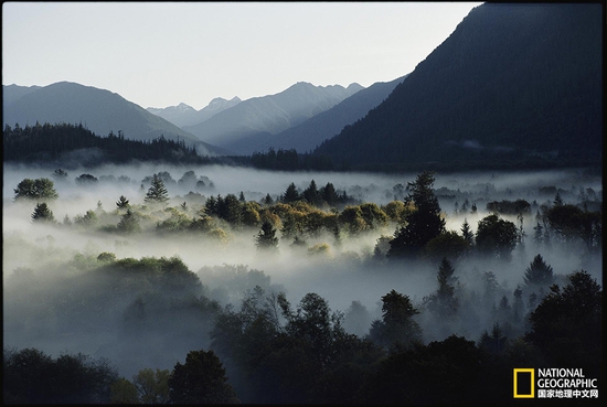 奧林匹克國家公園，華盛頓州攝影：Sam Abell，國家地理創(chuàng)意版