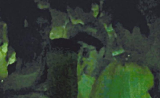 房祖名去年被港媒直擊在中環(huán)夜店與長發(fā)妞互動曖昧，女生正是Nana