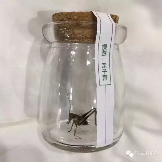 看看我的成果吧！