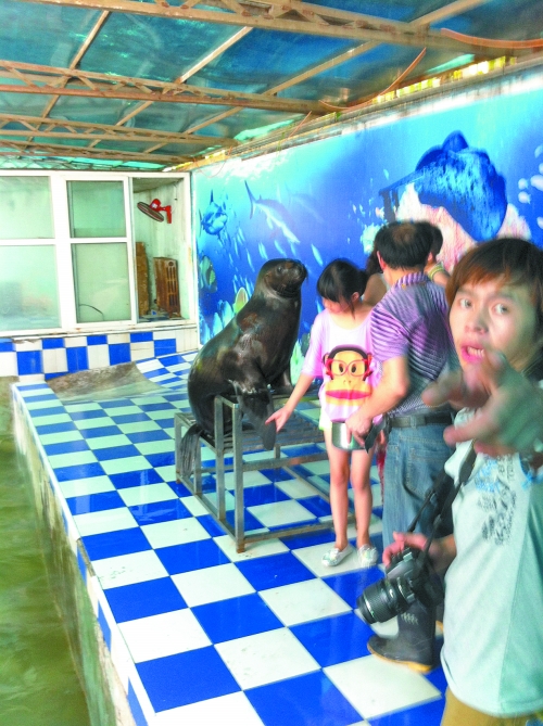 海獅館內的攝影師警惕性很高,禁止記者拍照。