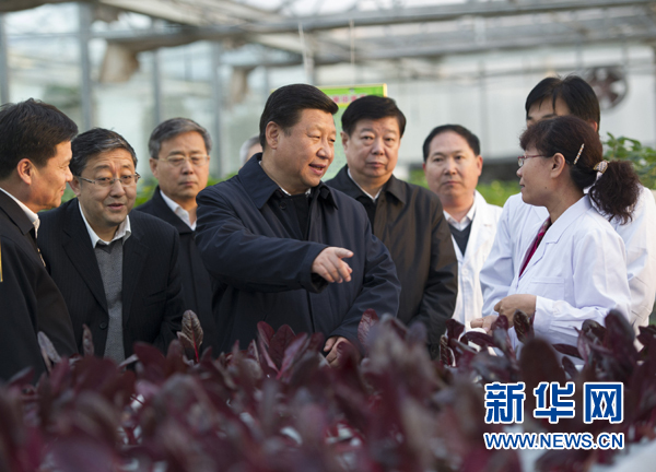  27日下午，習近平在山東省農(nóng)業(yè)科學院智能化溫室了解農(nóng)業(yè)科技創(chuàng)新情況。