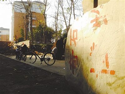 昨日，“上海奇石盆景博物館”原址上，已矗立起小區(qū)樓盤，而刻著博物館名的巨石，廢棄在一旁。本版圖片/新京報記者 張永生 攝