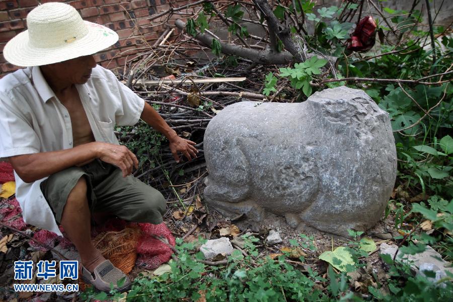 朝陽鎮(zhèn)后李村業(yè)余文保隊員，今年65歲的李連堂在上世紀平整土地時候，從地里挖出一個石羊殘身，至今仍放在