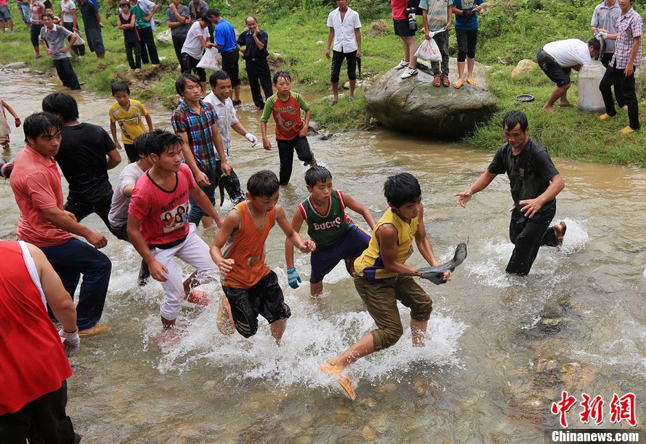 7月9日，村民在小河里摸魚搶魚。譚凱興 攝