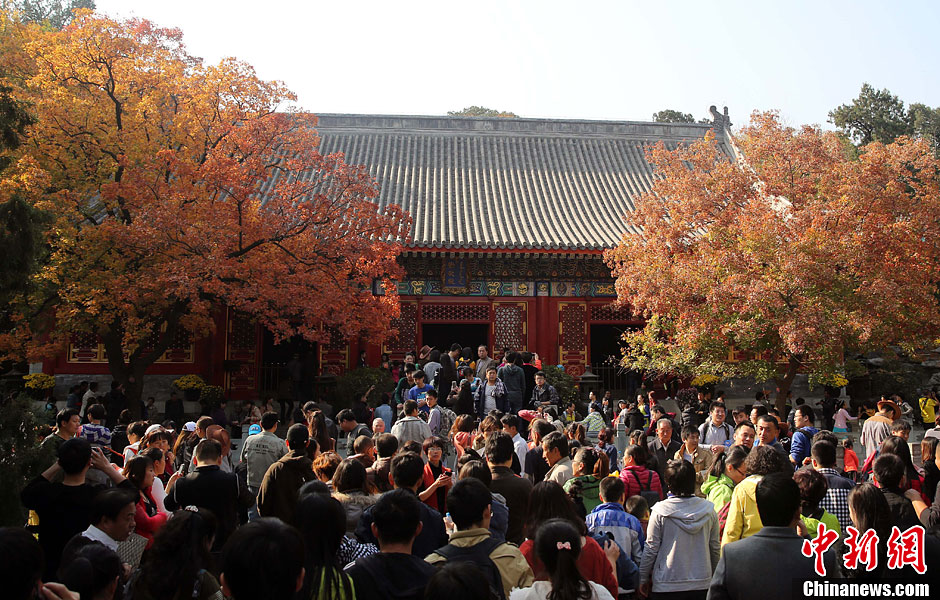 　10月26日，北京香山公園內游客摩肩接踵。