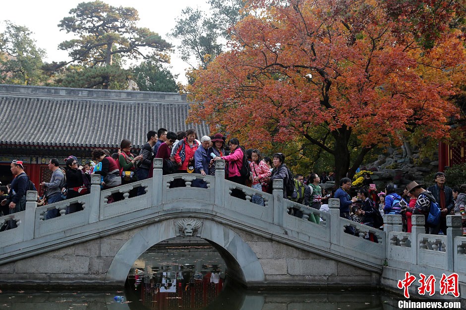 　10月26日，北京香山公園內游客摩肩接踵。
