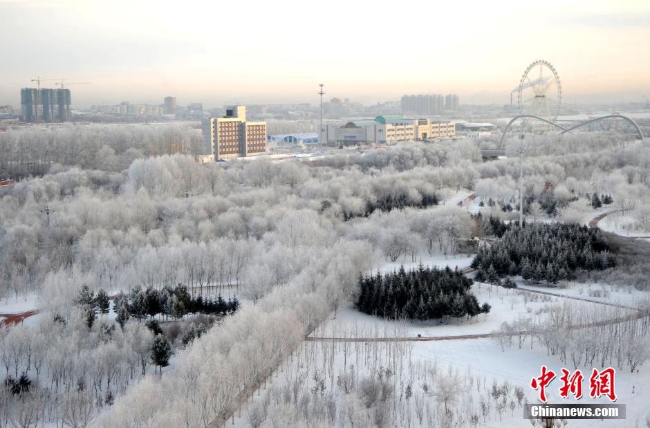 12月10日,受降溫天氣影響,黑河市黑龍江江畔出現(xiàn)綿延數(shù)公里的霧凇景觀。