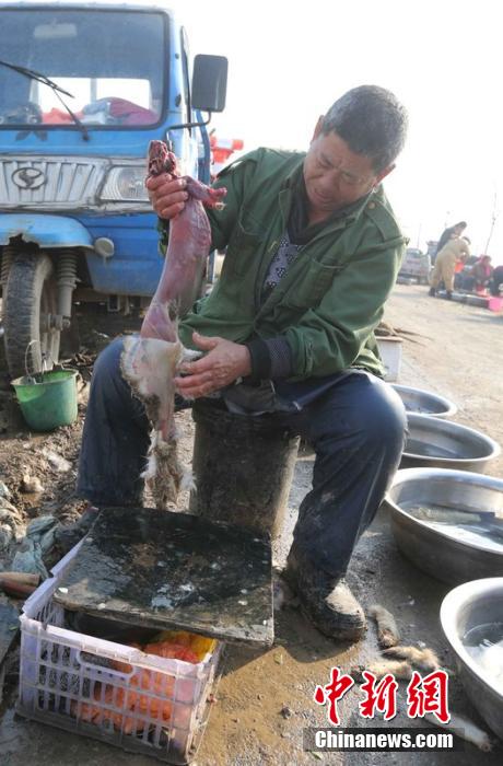 圖為12月1日，104國道靜?？h城附近，顧客挑好后，商販拎著死兔將皮完整地扒下來。田寶希 攝 圖片來