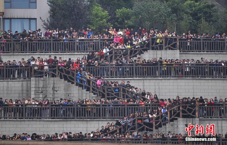 重慶上萬粉絲在南濱路等待《奔跑吧兄弟》節(jié)目的錄制。