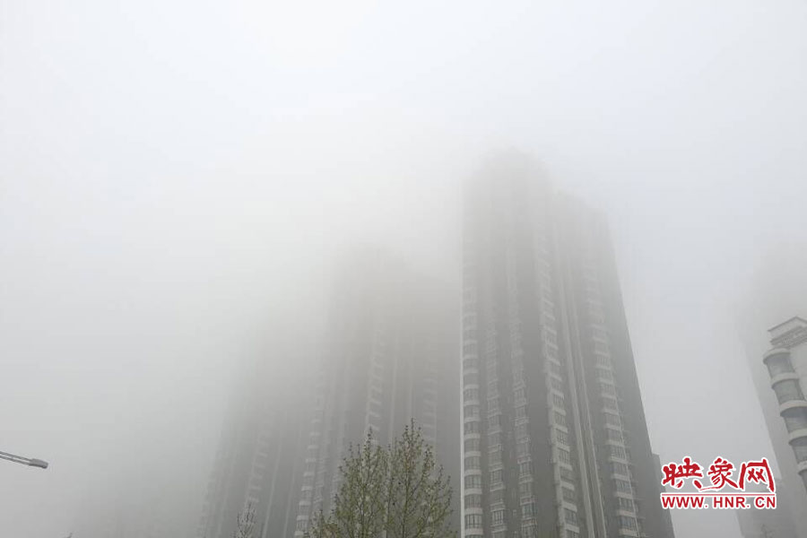 鄭州現(xiàn)大霧天氣，宛若仙境
