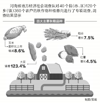 河南專(zhuān)項(xiàng)調(diào)查40個(gè)縣 四大秋糧種植結(jié)構(gòu)發(fā)生變化