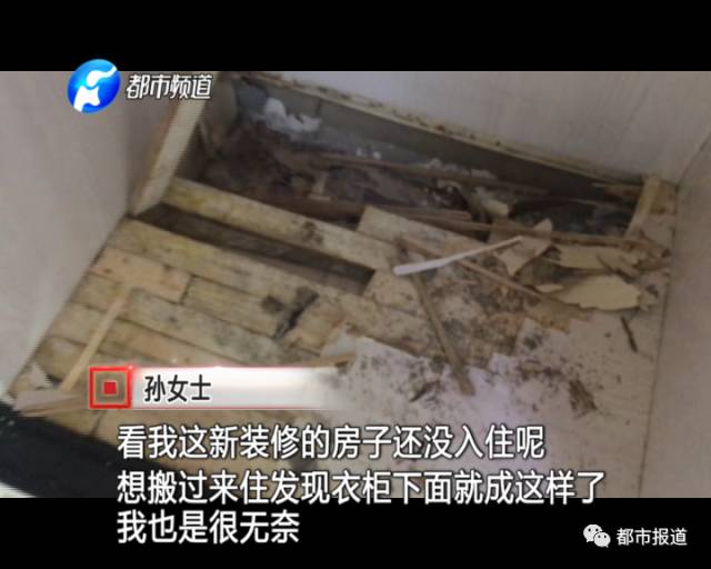 蟻?zhàn)宕筌娙肭?！十幾萬(wàn)裝修的新家被“吃掉”