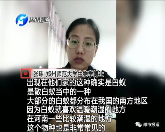 蟻?zhàn)宕筌娙肭?！十幾萬(wàn)裝修的新家被“吃掉”