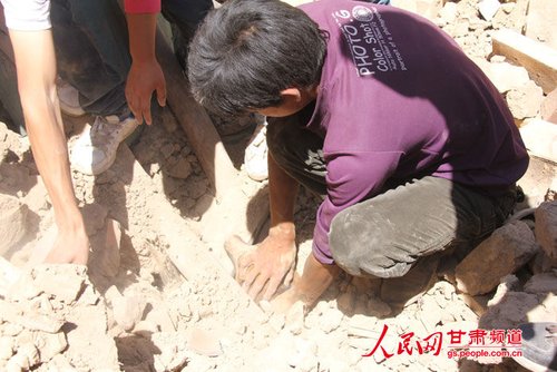 小黃狗露出了鼻子。王生元/攝