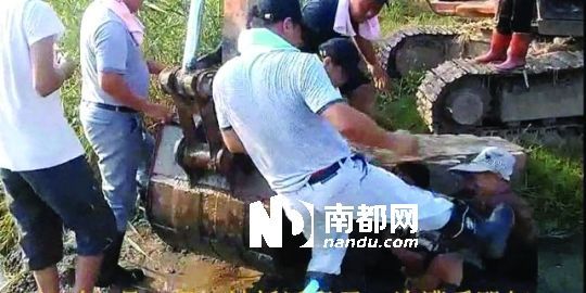 幾名戴黑帽的男子將一名老人推入水塘，后反復(fù)腳踹。