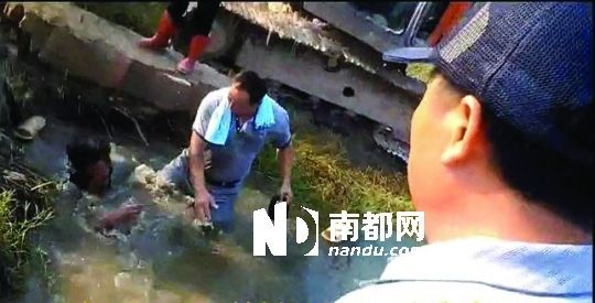 男子沒入水塘后試圖反抗，遭戴黑帽男子毆打。視頻截圖