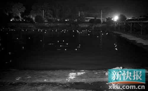 昨日，西湖村鱷魚(yú)養(yǎng)殖場(chǎng)已修復(fù)圍欄。