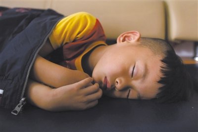 9月6日，等待錄制節(jié)目的多多躺在沙發(fā)上熟睡。新京報(bào)記者 侯少卿 攝