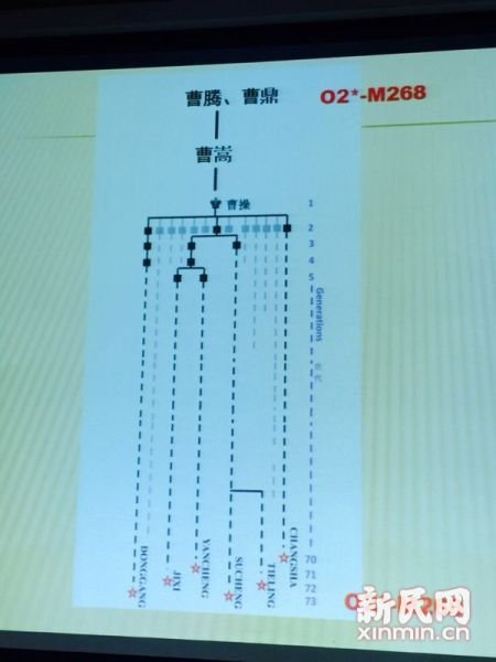 圖說(shuō)：復(fù)旦課題組發(fā)布曹操家族DNA研究結(jié)果。新民網(wǎng) 記者 李欣 攝