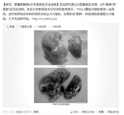 昨天，一則“霧霾使鮮肺6天變黑肺”的新聞在網(wǎng)上引發(fā)熱議。網(wǎng)絡(luò)截圖