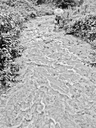 梅子回家的山道，晴天是路，雨天是河