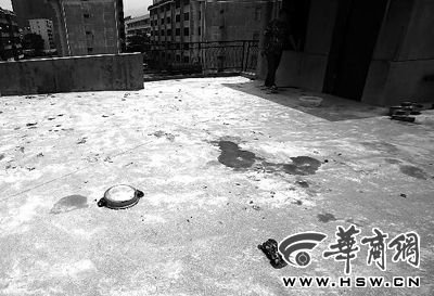 藏獒就養(yǎng)在這個(gè)樓頂，孩子從欄桿處墜落 本報(bào)記者 趙航 攝
