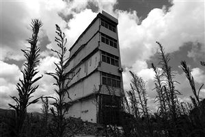 這幢5層的“片片樓”周圍已是一片拆遷后的廢墟，左邊的一堵墻上，不少鋼筋裸露在外面 圖片來源：新華網(wǎng)