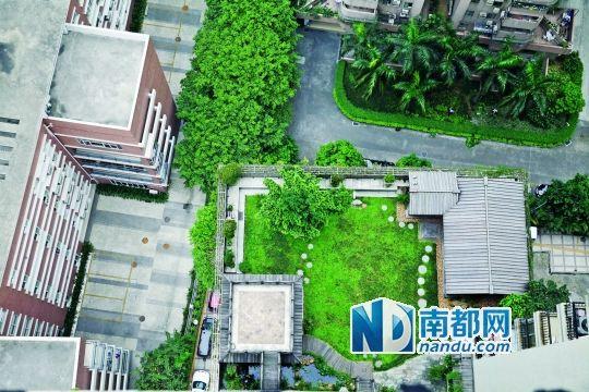 中旅商務(wù)大廈的“空中花園”。