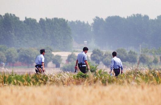 昨日上午，合肥長豐縣雙墩鎮(zhèn)，民警分成小隊(duì)在案發(fā)村莊附近麥田搜捕嫌犯。記者劉玉才/攝