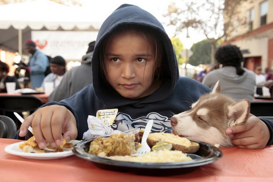 11月21日，加州洛杉磯的游民巷，12歲的堂娜·赫南德茲抱著愛犬“湯米”，安靜地吃著免費(fèi)的感恩節(jié)飯菜
