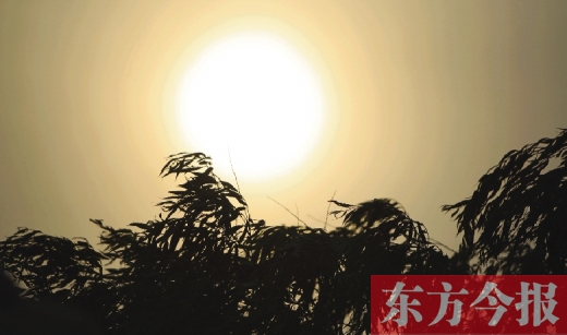五月十四日，傍晚時(shí)分，鄭州的天空再次被沙塵遮蓋