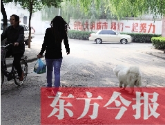 啟明一巷內(nèi)，一名女子帶著狗狗去買(mǎi)菜。狗隨地大小便，狗的主人未制止