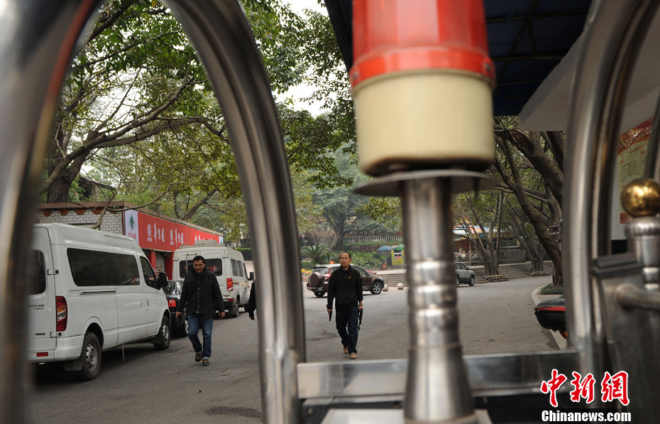 重慶動(dòng)物園兩頭獅子“越獄” 已被麻醉移至籠舍