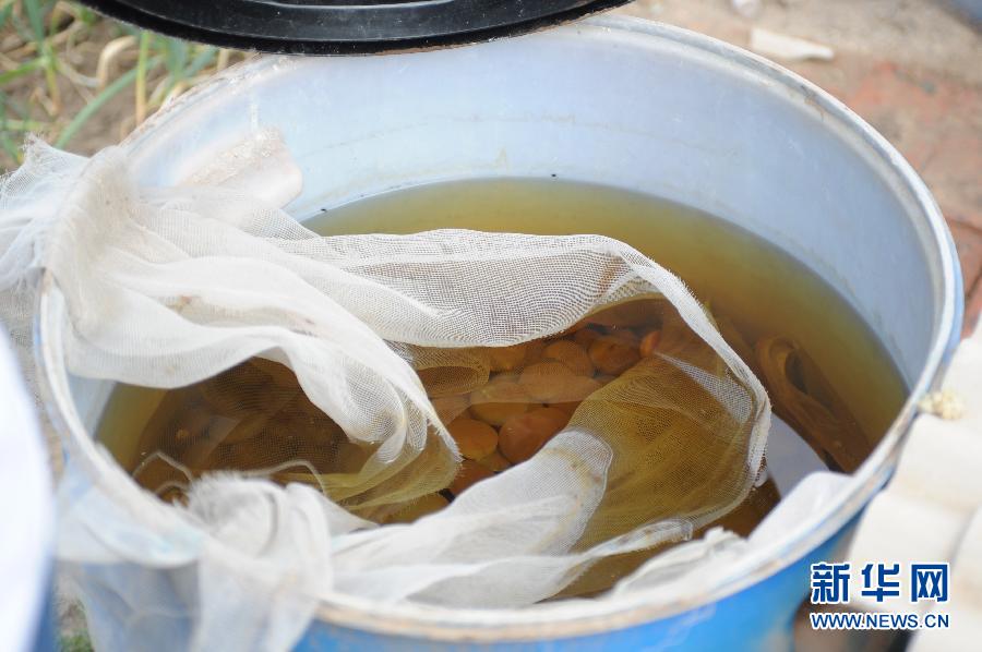 地下水成“綠茶”　污染二十多年該誰治？