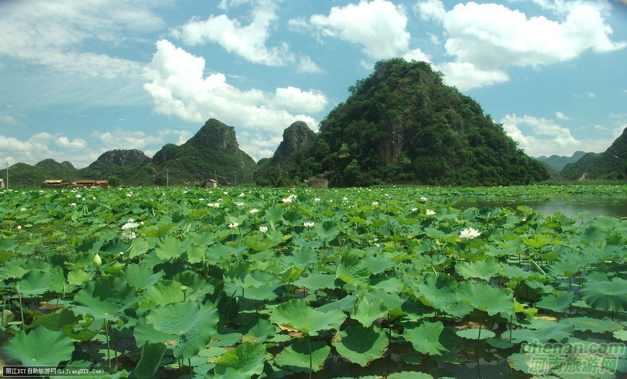 爸爸去哪兒？親密接觸荷花仙子