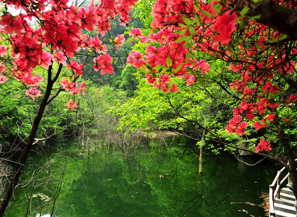 母親節(jié)河南景區(qū)優(yōu)惠大波來襲！