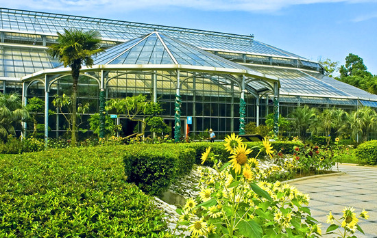 6月賞花哪里去 鄭州植物園百合等待您 6月賞花哪里去 鄭州植物園百合等待您