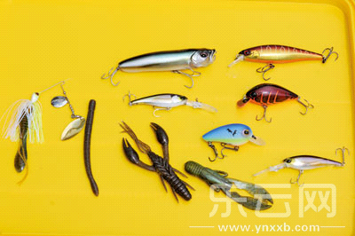 　　又稱擬餌釣魚,起源于歐洲,國內(nèi)翻譯為“路亞”。