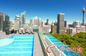 酒店屋頂游泳池俯瞰公園美景。