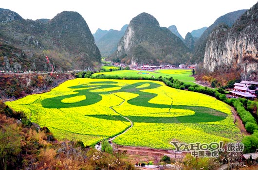 　　貴州油菜花景自以“立體多層,起伏跌宕”的油菜花景觀著稱。(圖片來源:CFP)