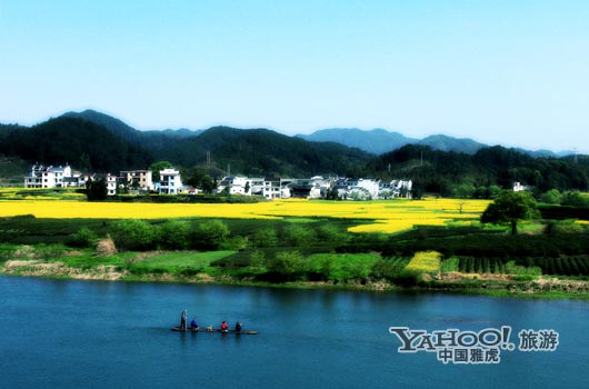　　婺源號(hào)稱是中國最美麗的鄉(xiāng)村,她最美麗的季節(jié)是三月中下旬。(圖片來源:CFP)