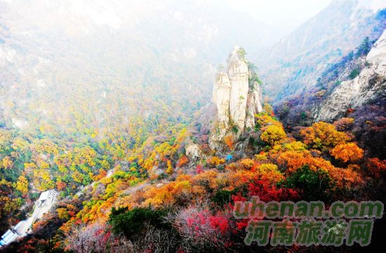 堯山 拜大佛賞紅葉泡溫泉 堯山 拜大佛賞紅葉泡溫泉