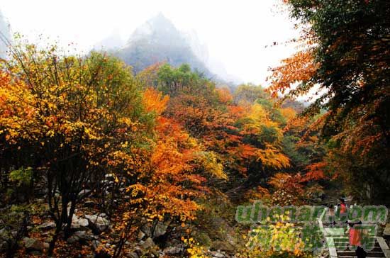 深秋去堯山賞紅葉、泡溫泉、拜大佛