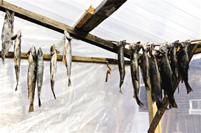 長(zhǎng)白山腳下一家小餐館內(nèi)晾曬的冷水魚。