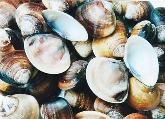 秋季最適合吃的海鮮是這10種 你吃對(duì)了嗎？