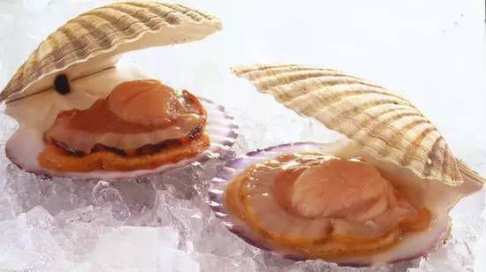 秋季最適合吃的海鮮是這10種 你吃對(duì)了嗎？