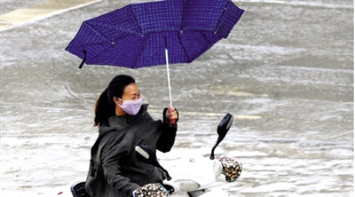 昨日下午，隴海路上，雨中風(fēng)大，一位女士的傘被吹翻了。