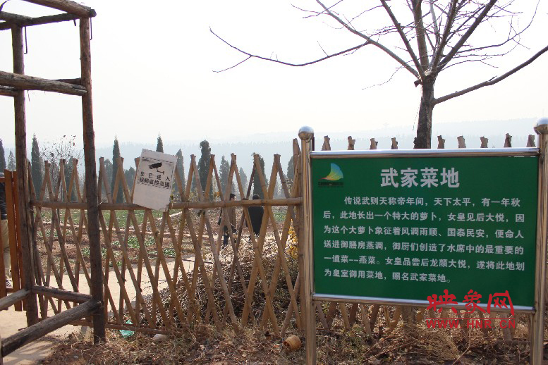 武家菜地就是這，據(jù)說(shuō)里面有個(gè)特大的蘿卜