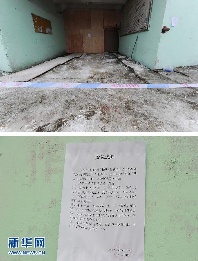 上海6日起暫?；钋萁灰?關(guān)閉所有活禽交易市場