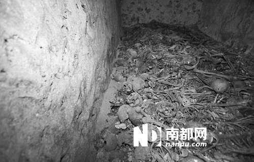 　5月29日，在以色列特拉維夫市雅法地區(qū)，一處集體墳墓被發(fā)現(xiàn)。